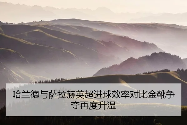 哈兰德与萨拉赫英超进球效率对比金靴争夺再度升温 - YIDESPORTS